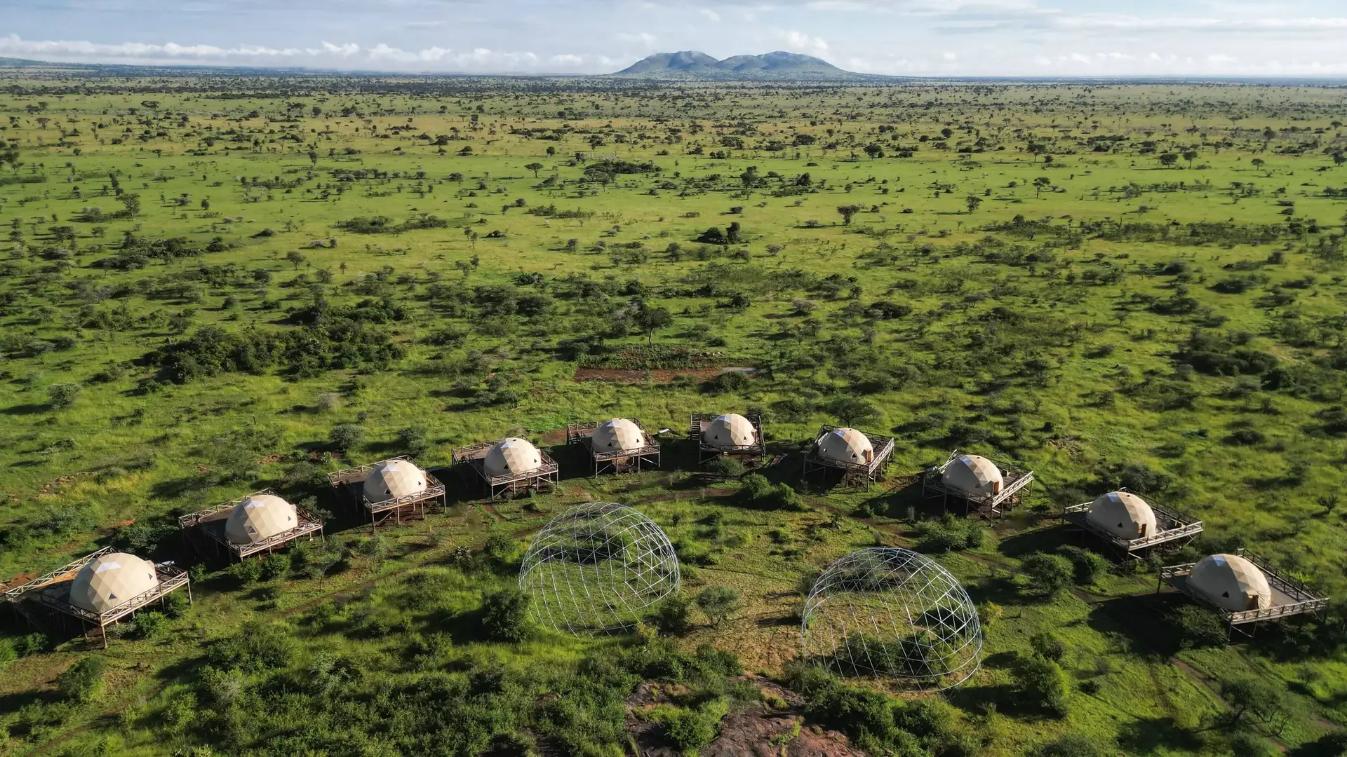 Kuoom Serengeti