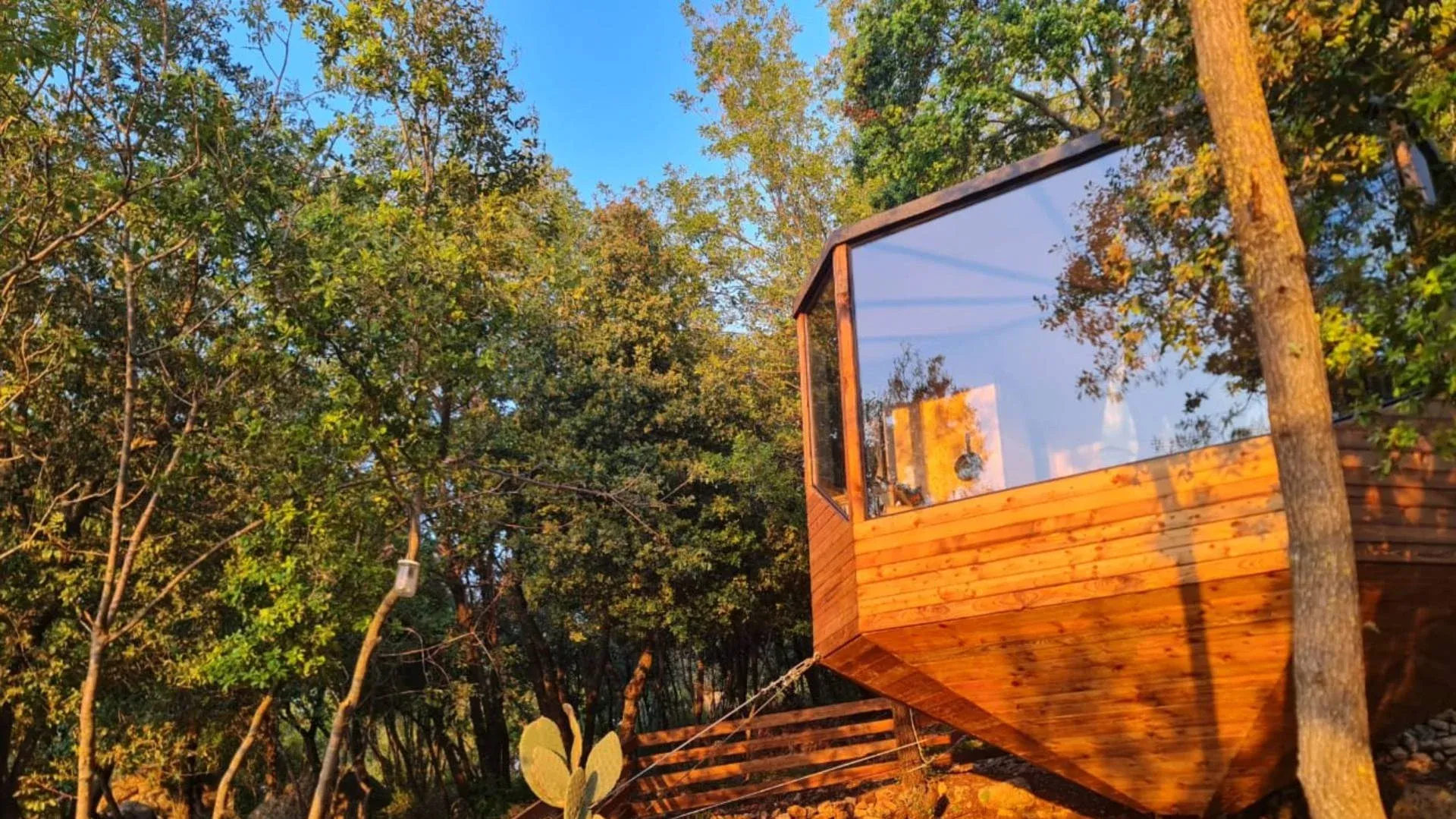 Seven Oaks Treehouses